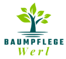 Baumpflege Werl
